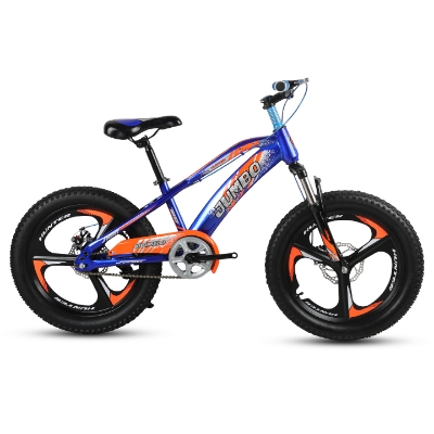 Buy   Jumbo 20 inch Boys Chinese Blue & Orange Bicycle  Online at Best Price in Bangladesh 