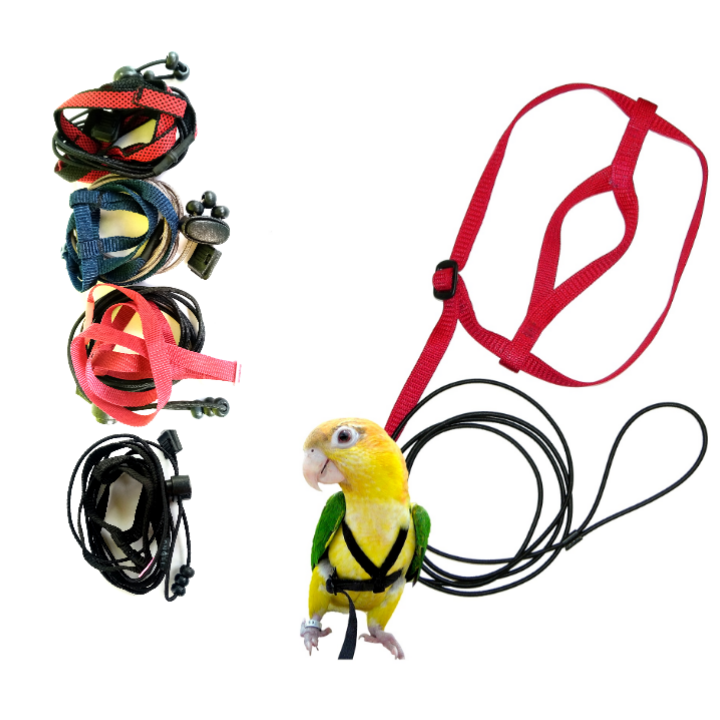 Picture of Flying Training Adjustable Parrot Birds Hernass lash pet bird accessories