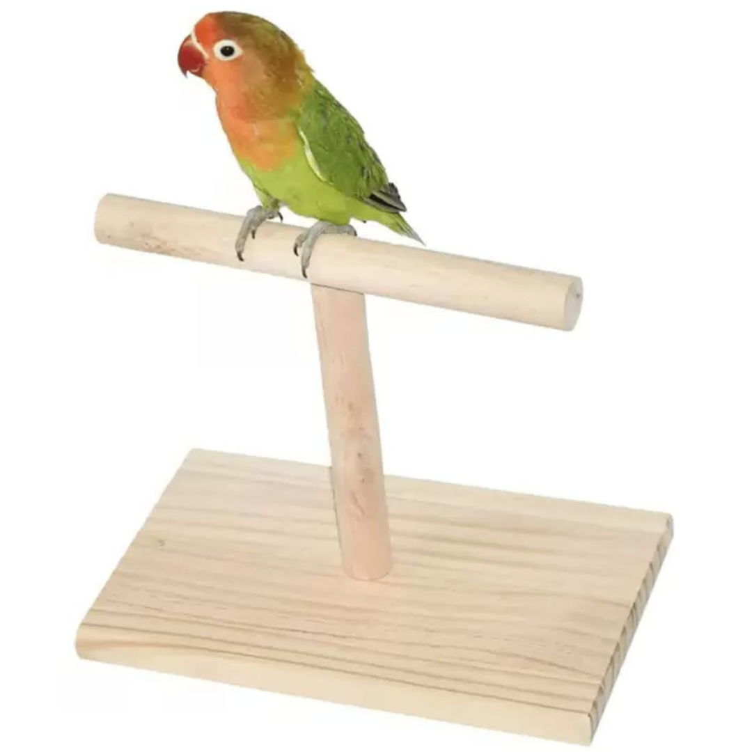 Picture of pet bird stand T stand perch