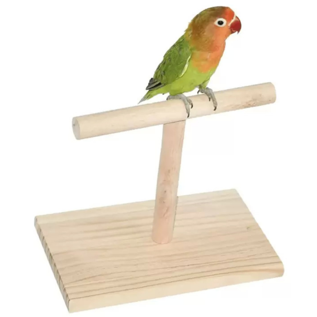 Picture of pet bird stand T stand perch