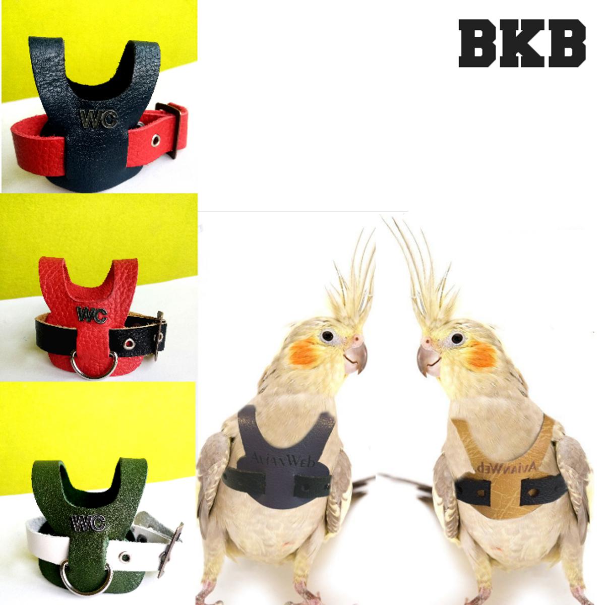 Picture of pet bird leather harness fashonebol bird dress for cocktiel. yellow sider coniur. merun tail coniur. plam headed parror bird