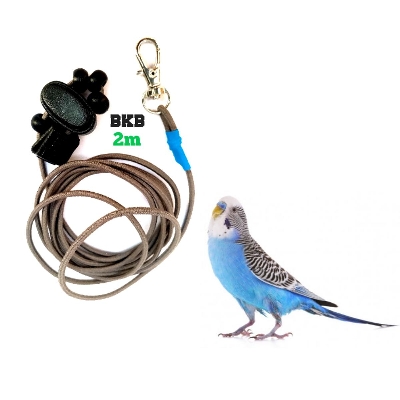 Picture of Elastic harness rope Leash Anti-Bite Flying Training Rope Pet Outdoor Traction Fit, Budgerigar Lovebird Cockatiel Mynah all Small Birds