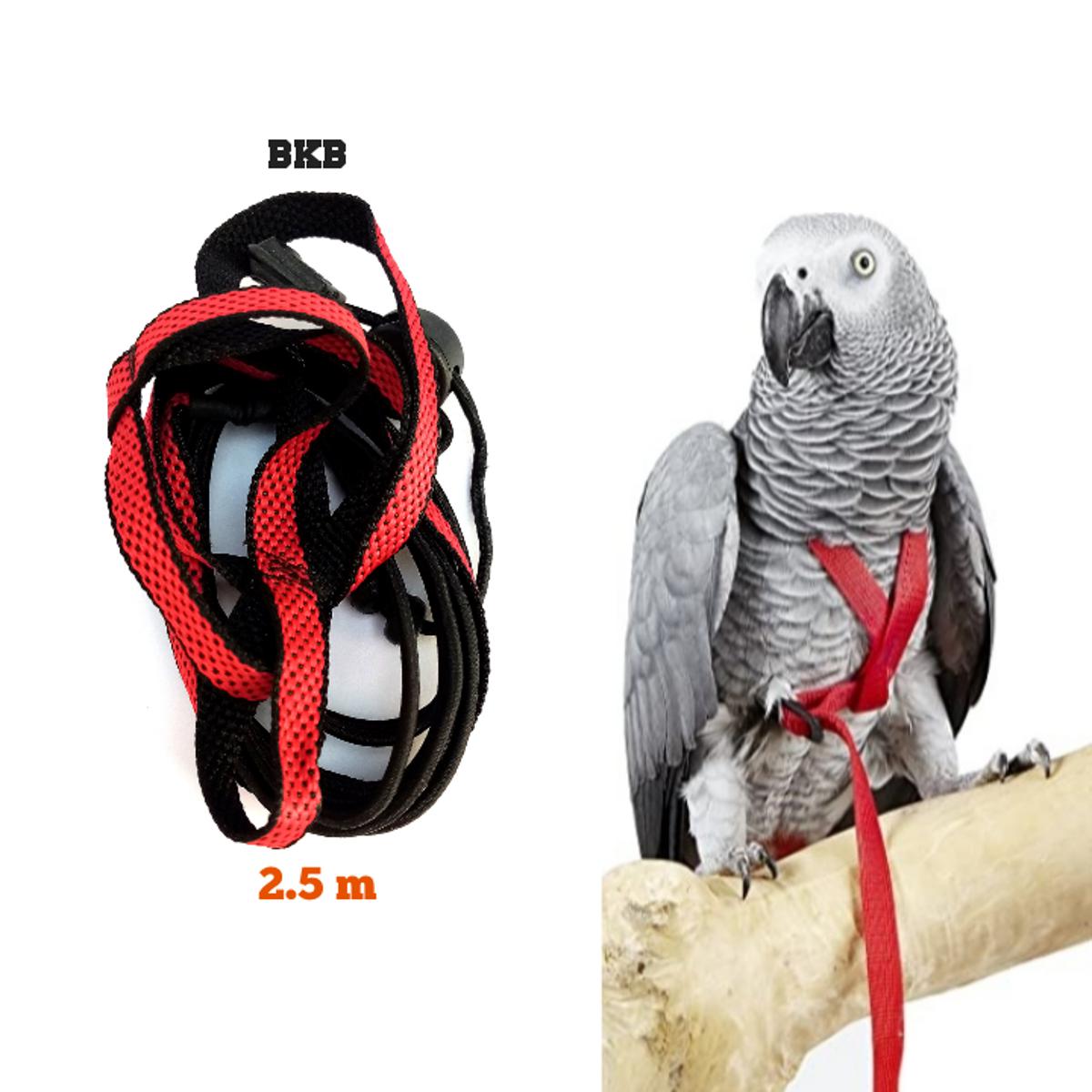 Picture of Adjustable Parrot Bird Aviator Harness Leash Anti-Bite Flying Training Rope Pet Outdoor Traction Fit, X-Large alex amazon gray parrot gala cockatoo all large parrot Birds