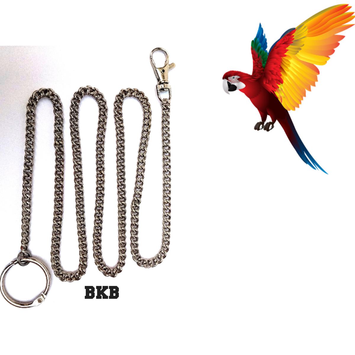 Picture of Metal Foot Chain Harness and Leash for Bird Parrot Cockatiels Conure