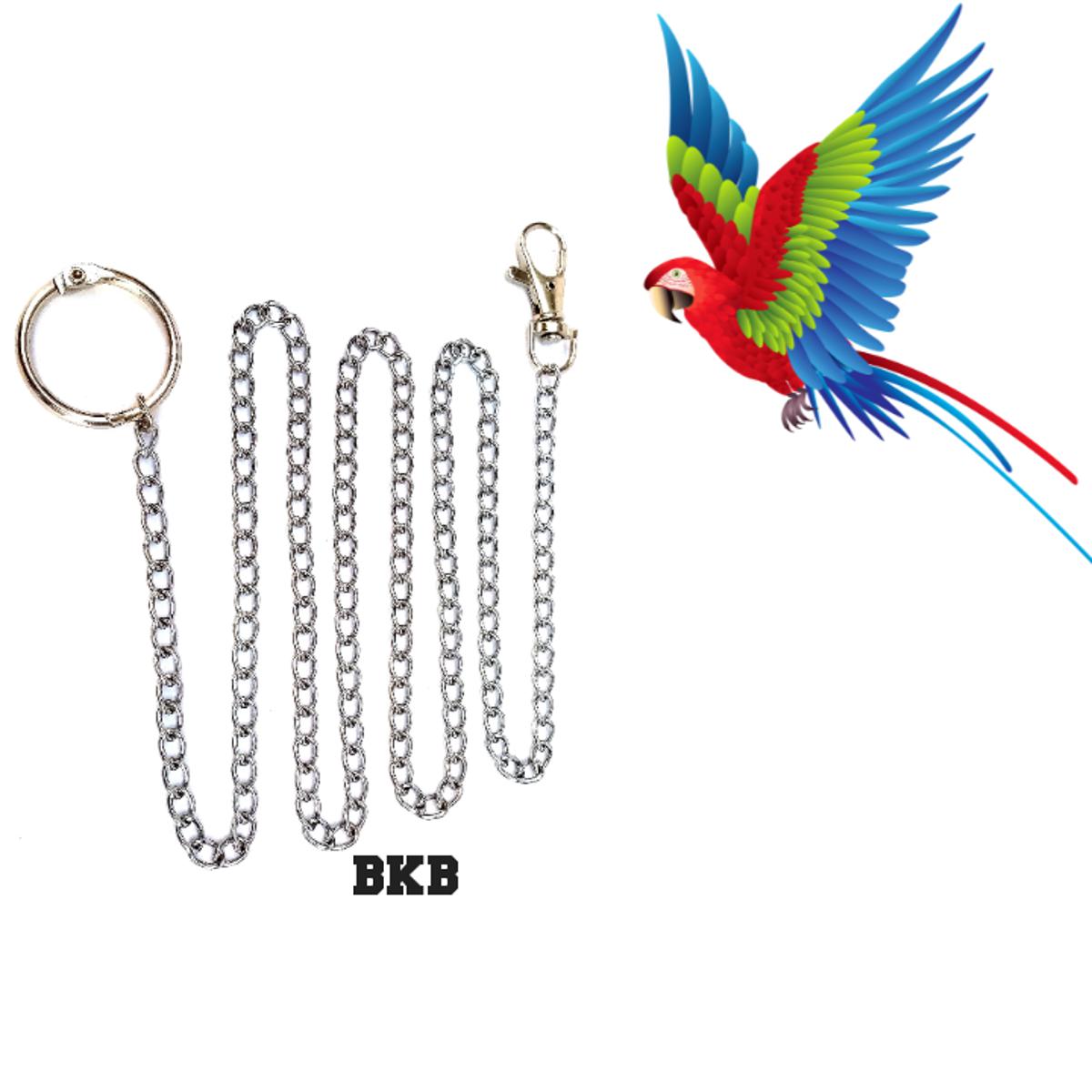 Picture of Metal Foot Chain Harness and Leash for Bird Parrot Cockatiels Conure
