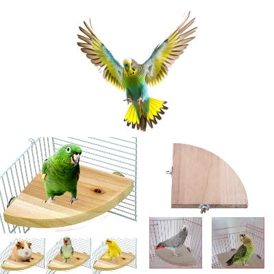 Picture of Bird Perch Tool 5" inches Corner Bird Accessories