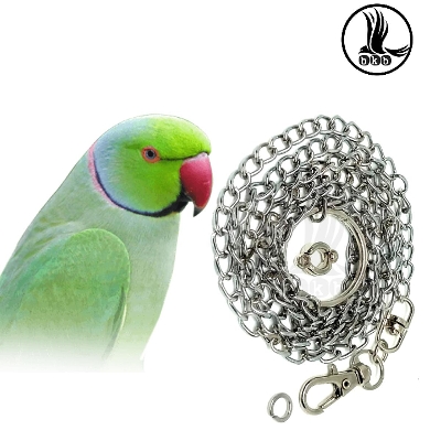 Picture of Metal Foot Chain Harness Leash & anklet ring {combo pack} for ringneck parrot, sun coniur & lory bird