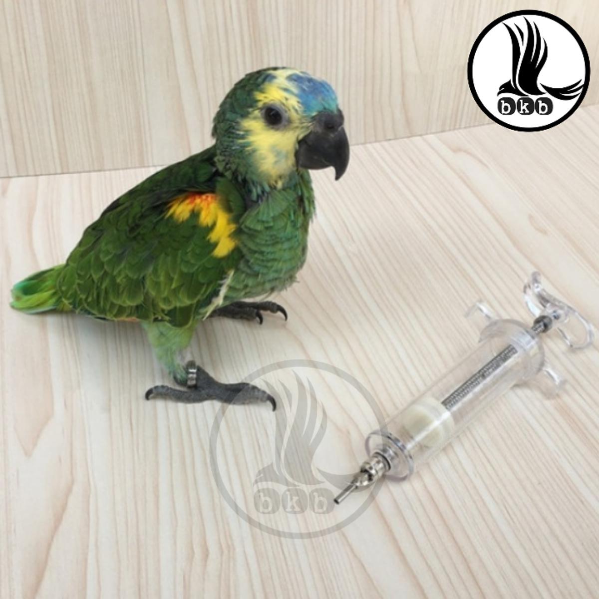 Picture of 50ml bird Hand Feeding Syringe With nidle & Hose For Birds Hand Feeding Syringe