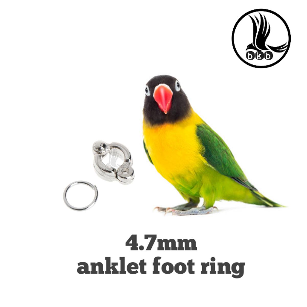 Picture of china anklet for lovebird pet bird accessories