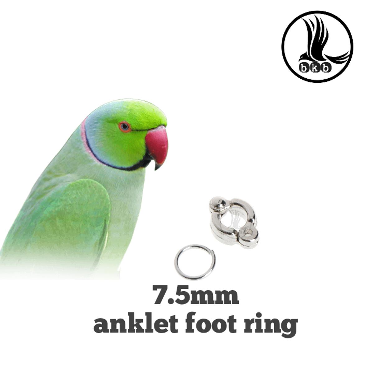 Picture of 7.5mm china anklet for ringneck parrot/sun coniur pet bird accessories