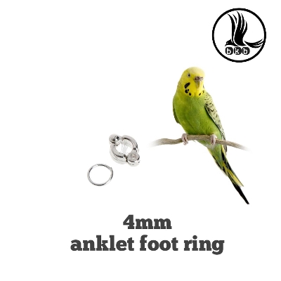 Picture of china anklet for budgerigar bird pet bird accessories