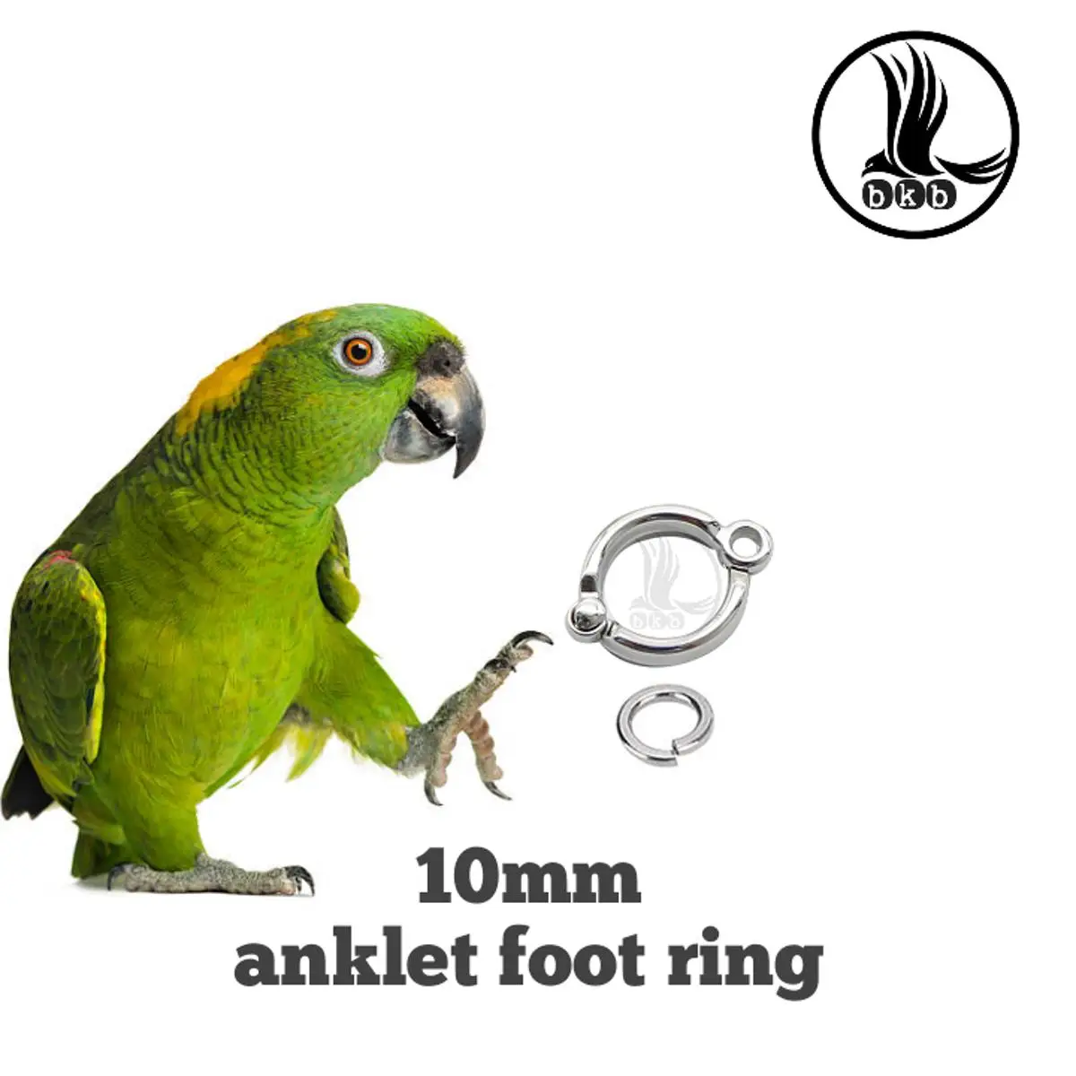 Picture of 10mm china anklet foot ring for amazon parrot & alex parrot pet bird accessories