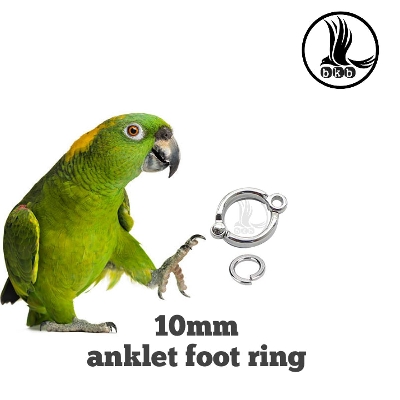 Picture of 10mm china anklet foot ring for amazon parrot & alex parrot pet bird accessories