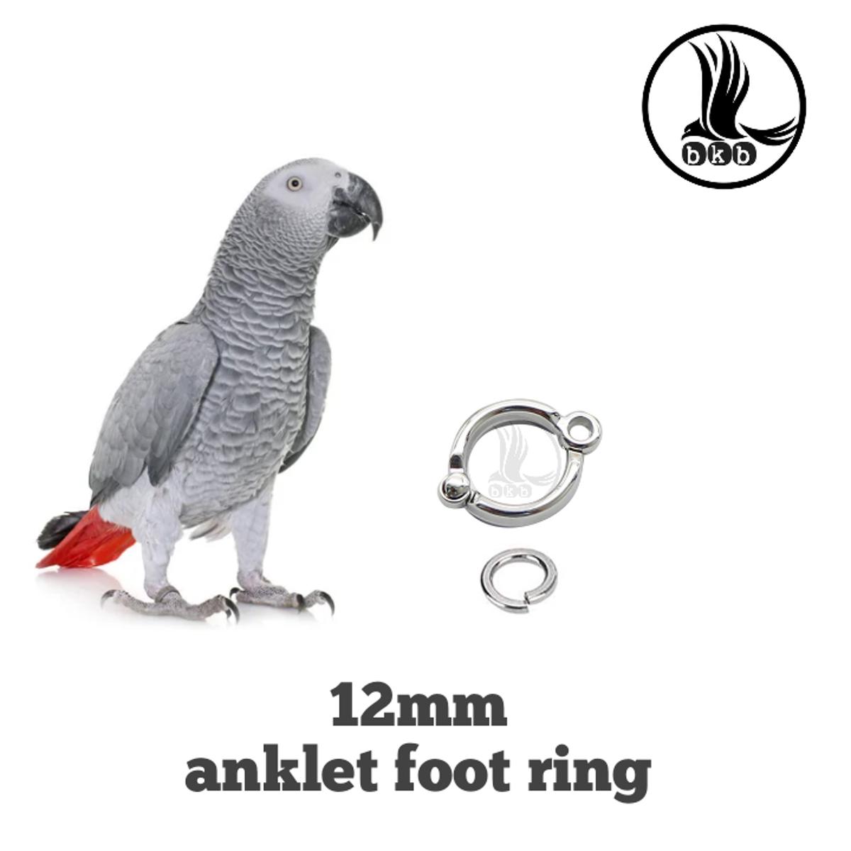 Picture of 12mm china anklet foot ring for gray parrot foot ring pet accessories