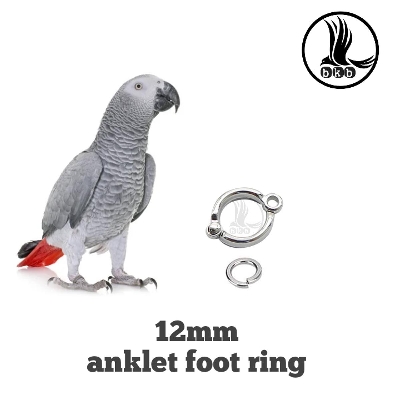 Picture of 12mm china anklet foot ring for gray parrot foot ring pet accessories