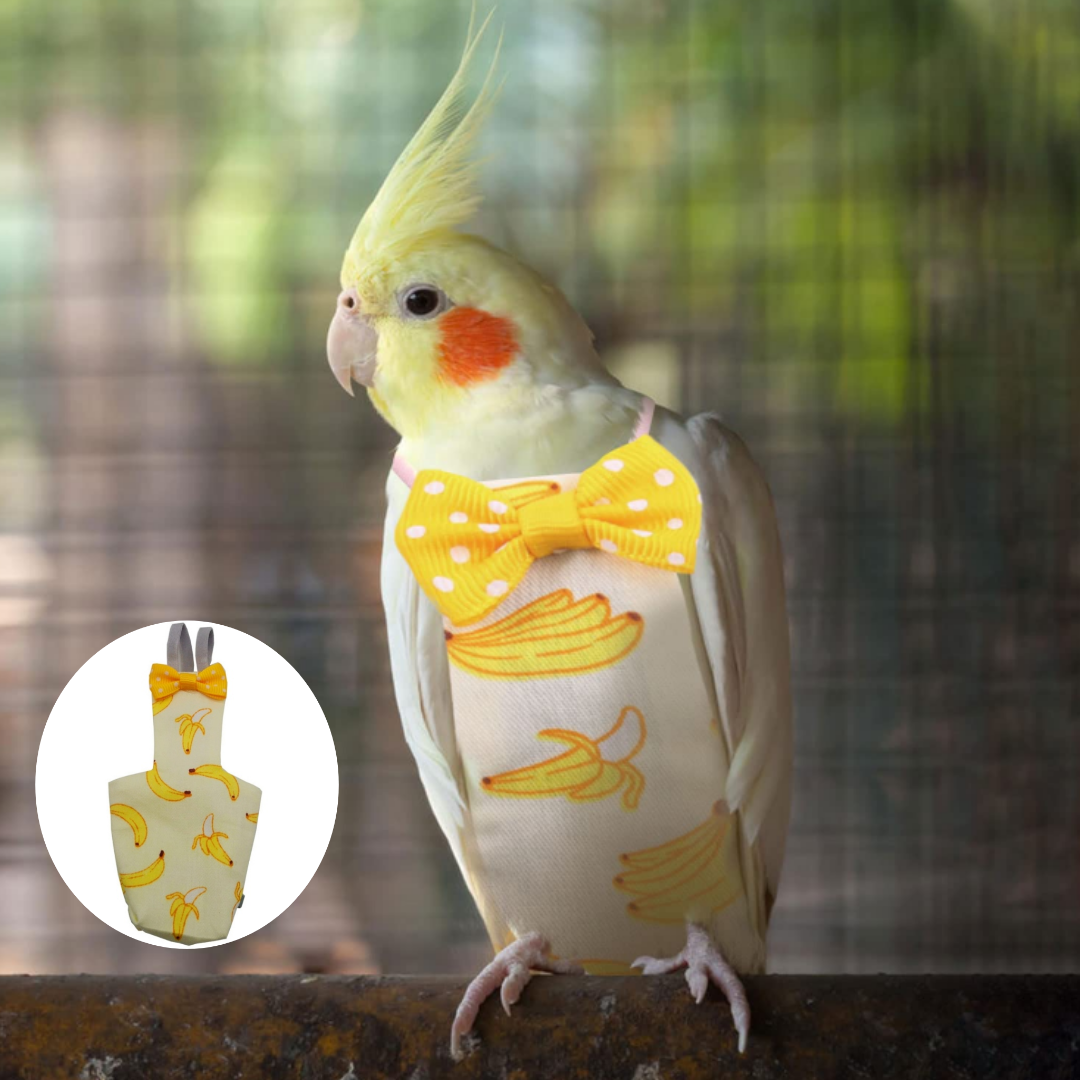 Picture of Waterproof Fabric Washable Pet Bird Diaper for cockatiel bird pet bird accessories