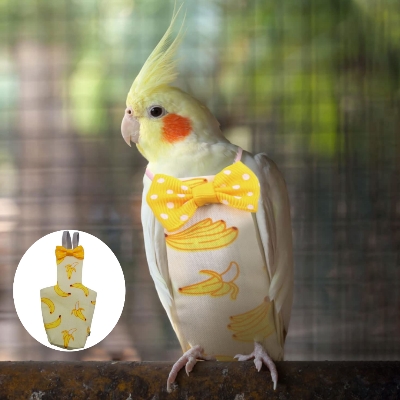 Picture of Waterproof Fabric Washable Pet Bird Diaper for cockatiel bird pet bird accessories