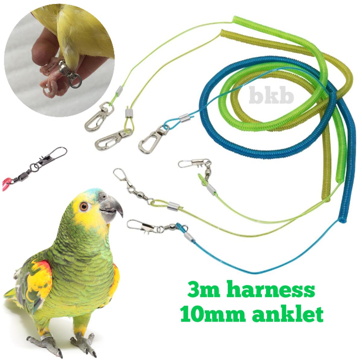 Picture of spring harness with amazon & alex parrot anklet foot ring 10mm {full set combo pack}