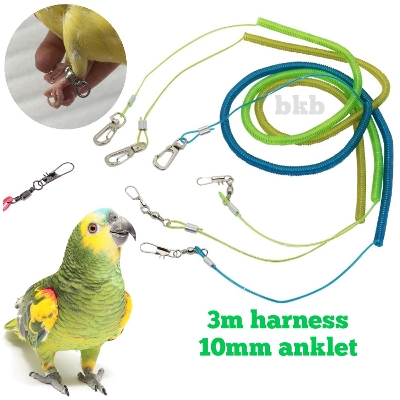 Picture of spring harness with amazon & alex parrot anklet foot ring 10mm {full set combo pack}