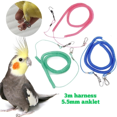 Picture of spring harness with anklet for cockatiel, yellow sider coniur, merun tail coniur bird {full set}