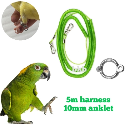 Picture of amazon parrot bird & alex parrot bird harness lash with anklet foot ring 10mm {full set}