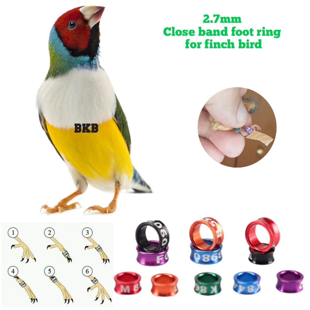 Picture of {2pcs} finch bird foot ring close band metal foot ring random word random colour tag 2.7mm