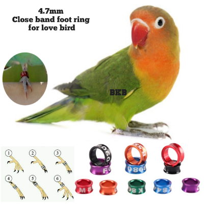 Picture of {2pcs} lovebird close band foot ring random word tag 4.5mm