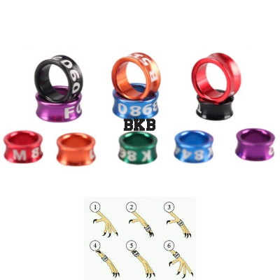 Picture of {2pcs} lovebird close band foot ring random word tag 4.5mm