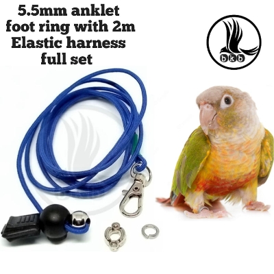 Picture of 2 Mitar Elastic harness with anklet 5.5 mm for pineapple coniur bird (full set combo pack)