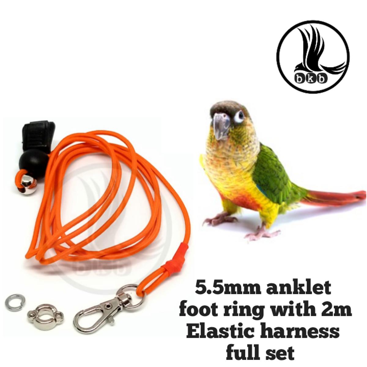 Picture of 2 miter elastic harness with yellow sider coniur bird anklet foot ring  (combo pack)