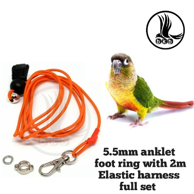 Picture of 2 miter elastic harness with yellow sider coniur bird anklet foot ring  (combo pack)