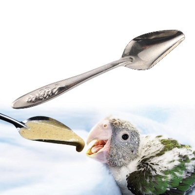 Picture of 2pcs Feeding Spoon Bird Parrot Feeding Spoon Stainless Steel Water Milk Powder Feeder Spoons