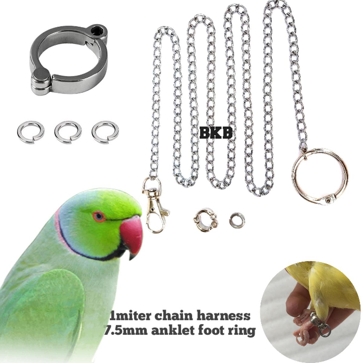 Picture of Metal Foot Chian Harness Leash & anklet Ring 7.5mm anklet foot ring full set (combo pack) for ringneck parrot & sun coniur birds