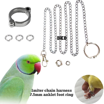 Picture of Metal Foot Chian Harness Leash & anklet Ring 7.5mm anklet foot ring full set (combo pack) for ringneck parrot & sun coniur birds