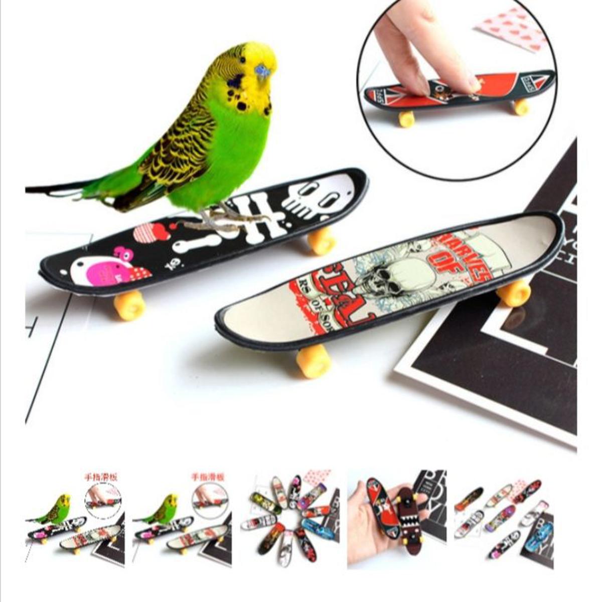 Picture of pet bird skateboard toy pet bird accessories