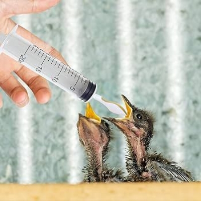 Picture of 20ml syringes with spon pet bird baby handfeeding easy to use