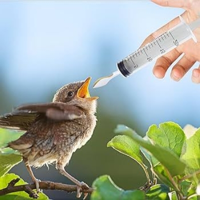 Picture of 20ml syringes with spon pet bird baby handfeeding easy to use