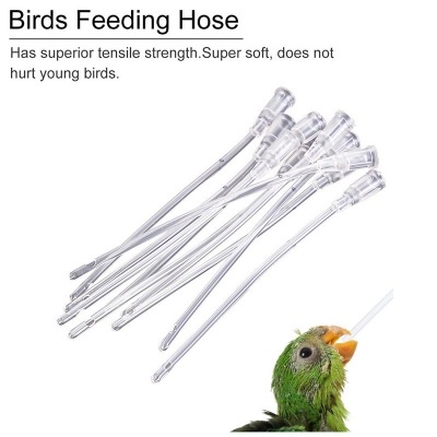 Picture of 10ml pet bird hand feeding transparent syringes with hose pet bird product bird accessories
