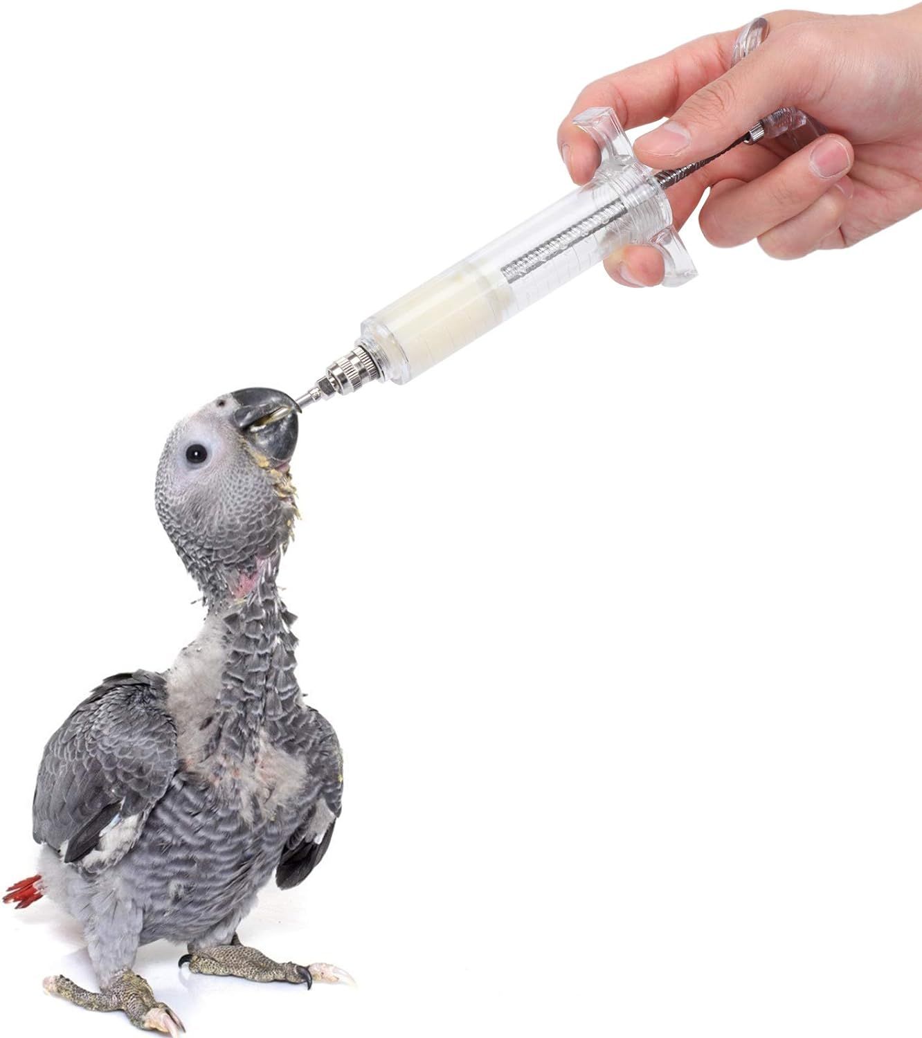 Picture of 10ml pet bird hand feeding transparent syringes with hose pet bird product bird accessories