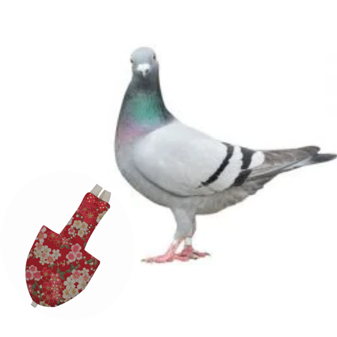 Picture of pigeon diaper dress washable fabrics pet bird products