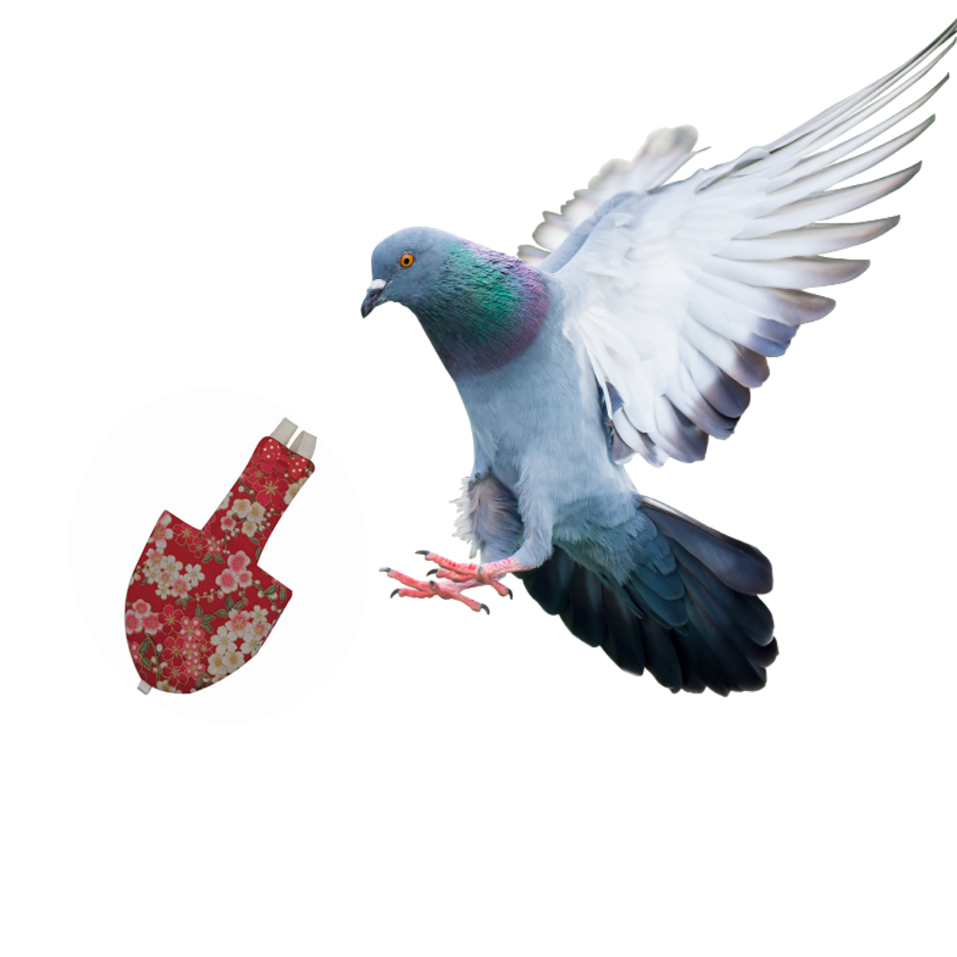 Picture of pigeon diaper dress washable fabrics pet bird products