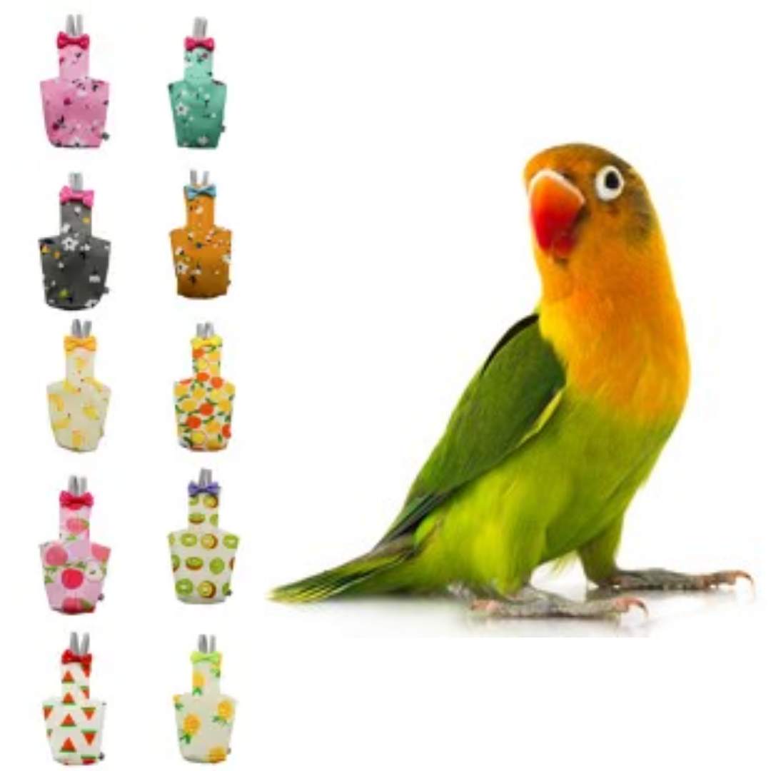 Picture of lovebird diaper dress washable fabrics per bird accessories