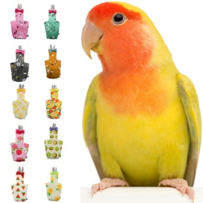 Picture of lovebird diaper dress washable fabrics per bird accessories