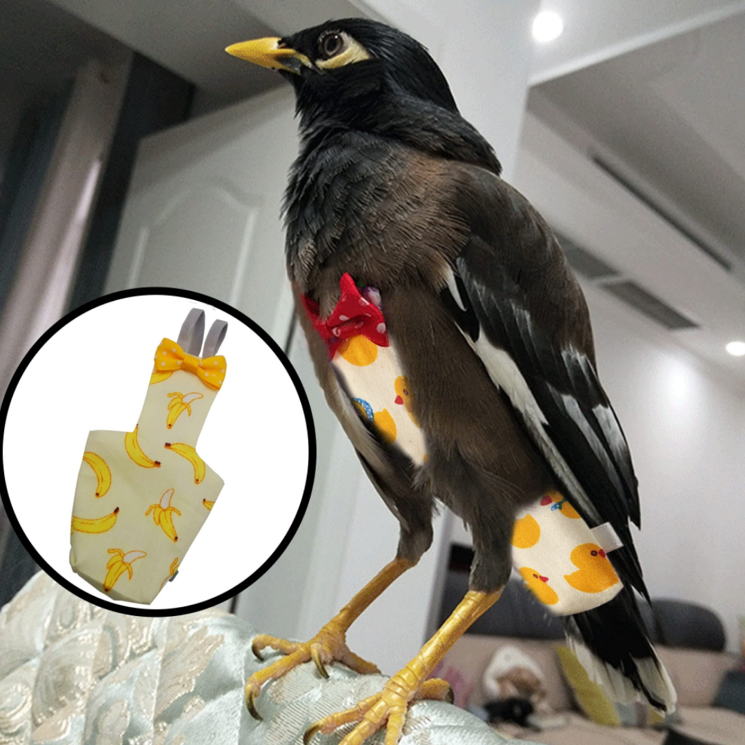 Picture of shalik bird diaper dress adjustable diaper washable fabrics pet bird accessories