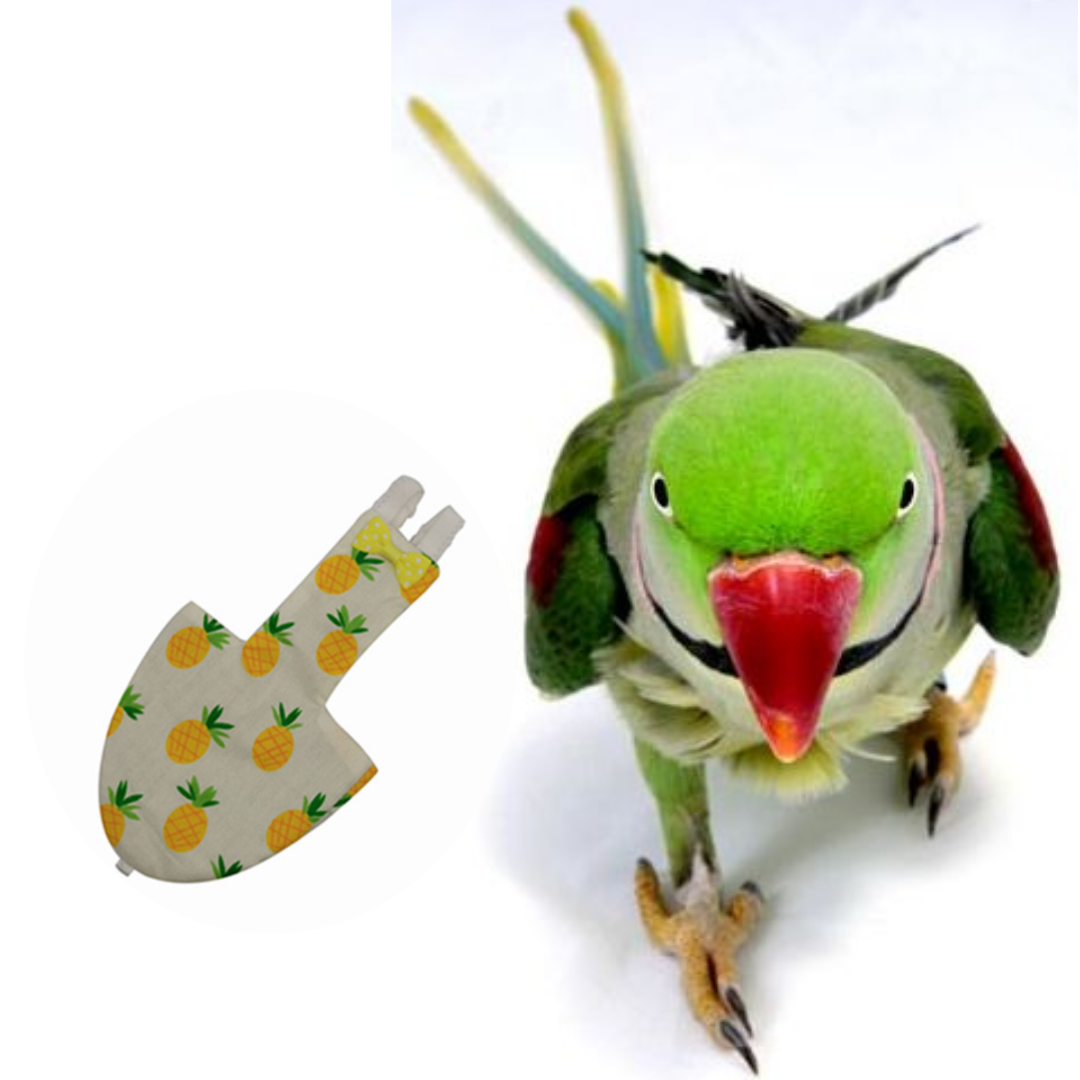 Picture of alex parrot bird diaper dress adjustable bird diaper dress washable fabrics pet bird accessories