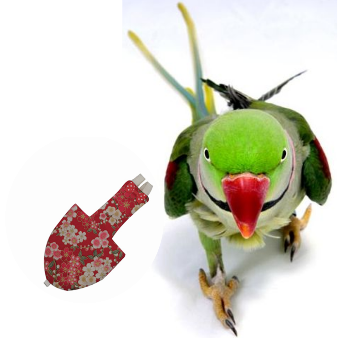 Picture of alex parrot bird diaper dress adjustable bird diaper dress washable fabrics pet bird accessories