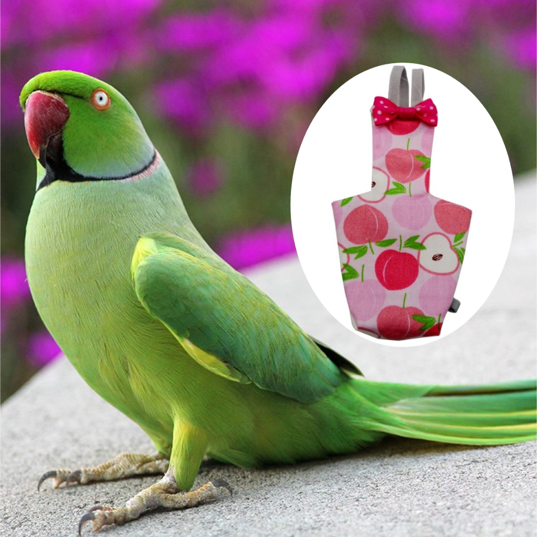 Picture of ringneck parrot bird diaper dress washable fabrics adjustable diaper dress pet products pet bird accessories