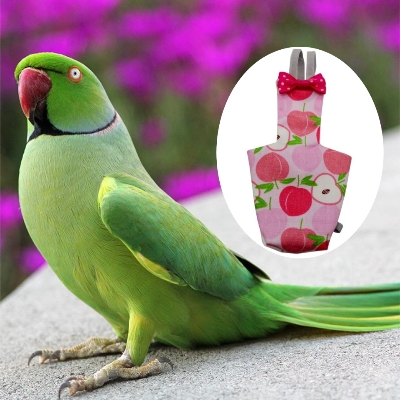 Picture of ringneck parrot bird diaper dress washable fabrics adjustable diaper dress pet products pet bird accessories