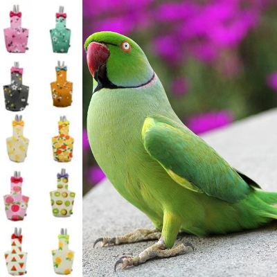 Picture of ringneck parrot bird diaper dress washable fabrics adjustable diaper dress pet products pet bird accessories