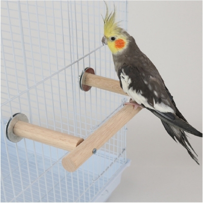 Picture of pet bird parch stand bird parch bird accessories bird products